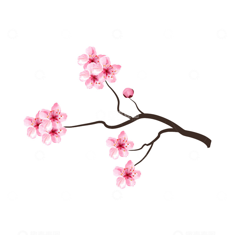 彩绘卡通桃花花朵花卉树枝花枝