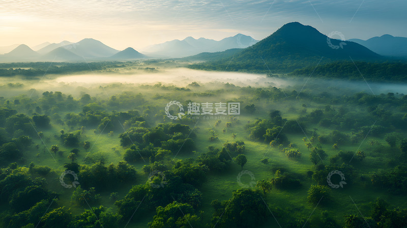高清大图下载【趣麦麦图】大自然风景森林植被