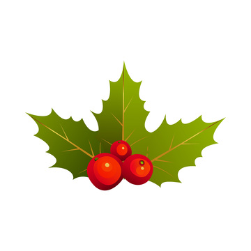 圣诞节浆果水果果实树叶绿叶