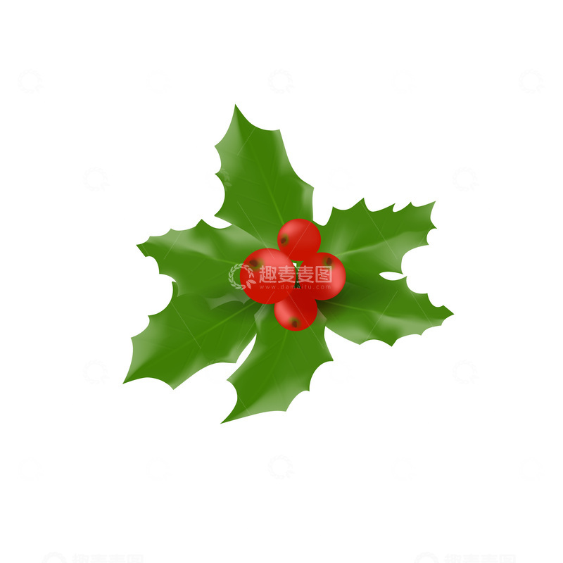 源文件下载【趣麦麦图】圣诞节绿叶叶子树叶浆果果实水果