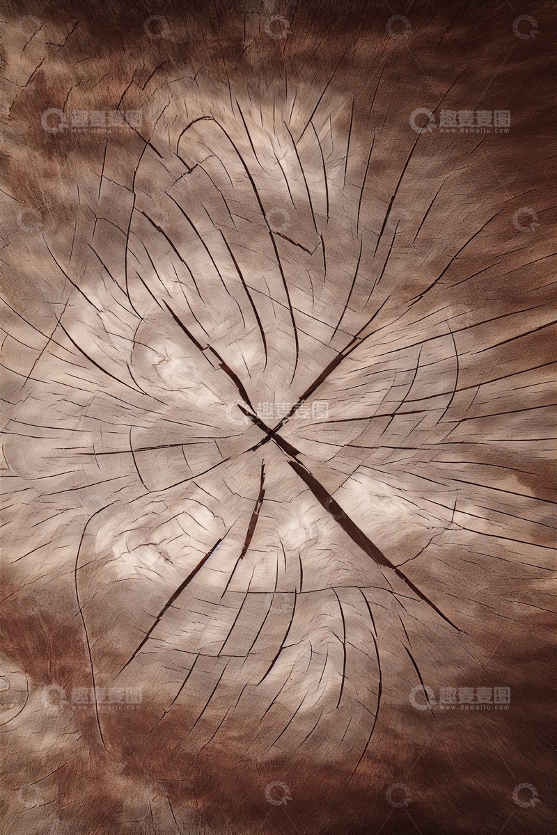 高清大图下载【趣麦麦图】木纹年轮木头横切面图案裂纹