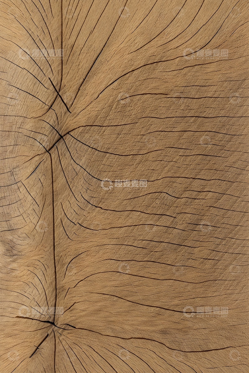 高清大图下载【趣麦麦图】木头横切面裂纹木纹