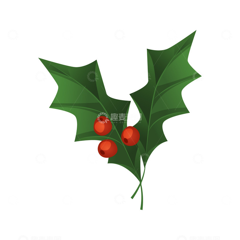 源文件下载【趣麦麦图】圣诞节绿叶叶子树叶浆果果实果子