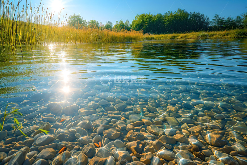 高清大图下载【趣麦麦图】水草和清澈的水边 (3)