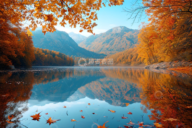 高清大图下载【趣麦麦图】深秋山间的落叶 (1)