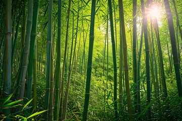 绿色的竹子素材 (2)