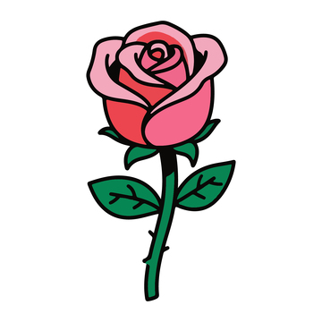 一朵粉玫瑰花2