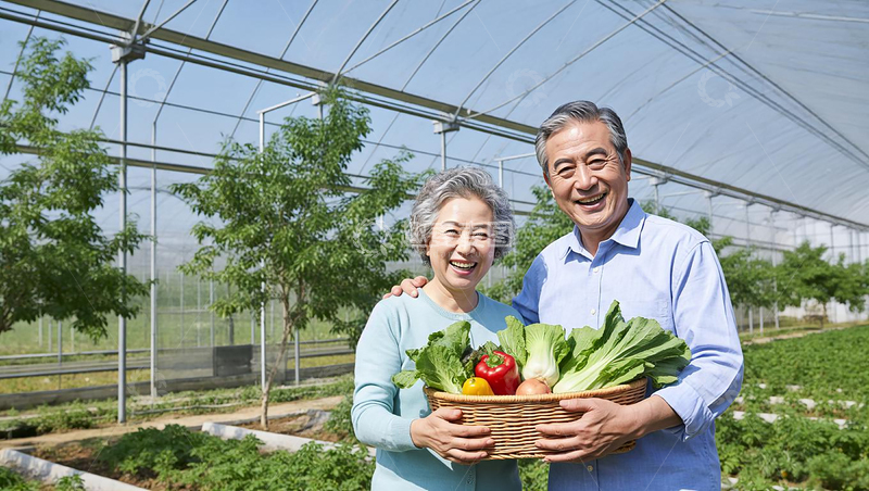 高清大图下载【趣麦麦图】农业园采摘蔬菜的老年夫妇