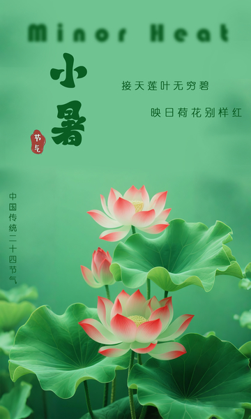 小暑节气海报8
