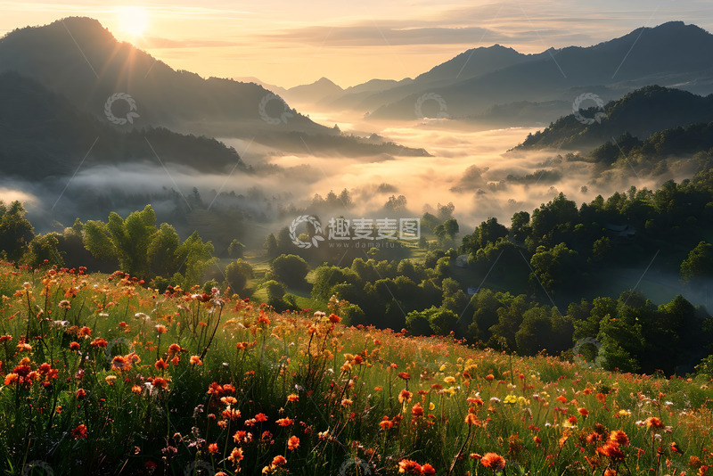 高清大图下载【趣麦麦图】清晨迷雾间的山林 (4)