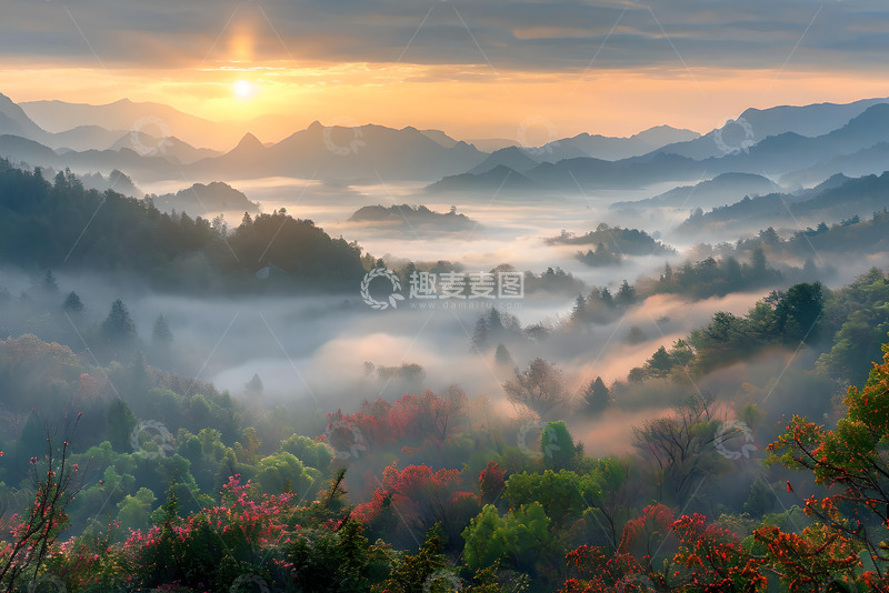 高清大图下载【趣麦麦图】清晨迷雾间的山林 (3)