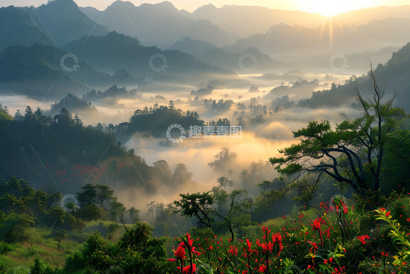 高清大图下载【趣麦麦图】清晨迷雾间的山林 (2)