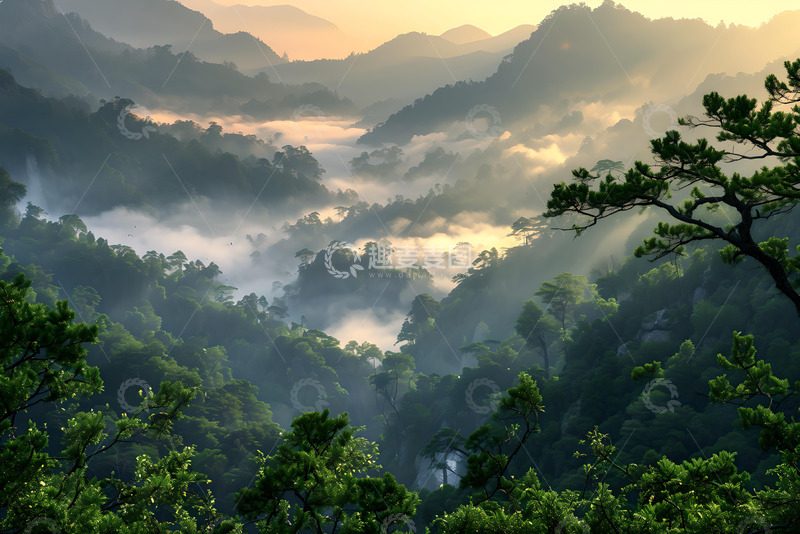 高清大图下载【趣麦麦图】清晨迷雾间的山林 (9)