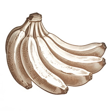 香蕉手绘插画插图
