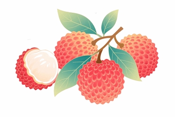 新鲜水果荔枝01