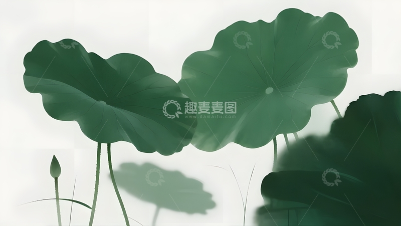 高清大图下载【趣麦麦图】翠荷隐雾，静谧之美