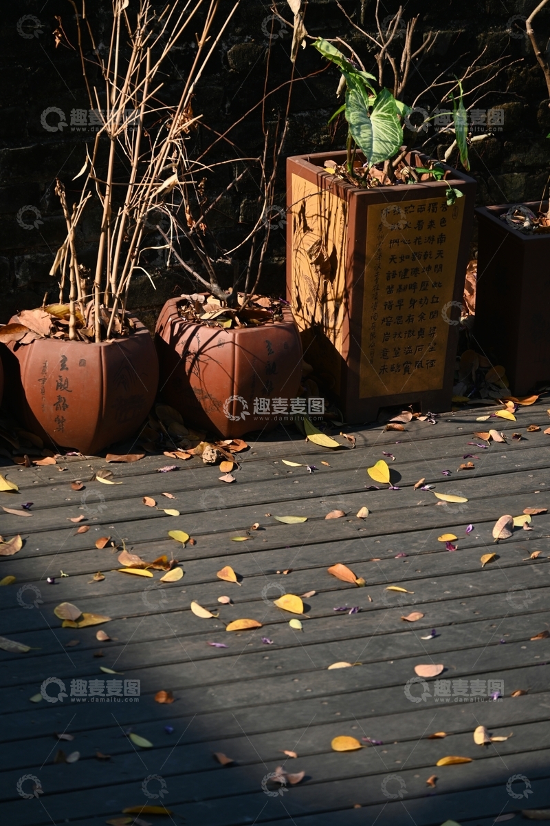 高清大图下载【趣麦麦图】古雅花盆与落叶的庭院之景