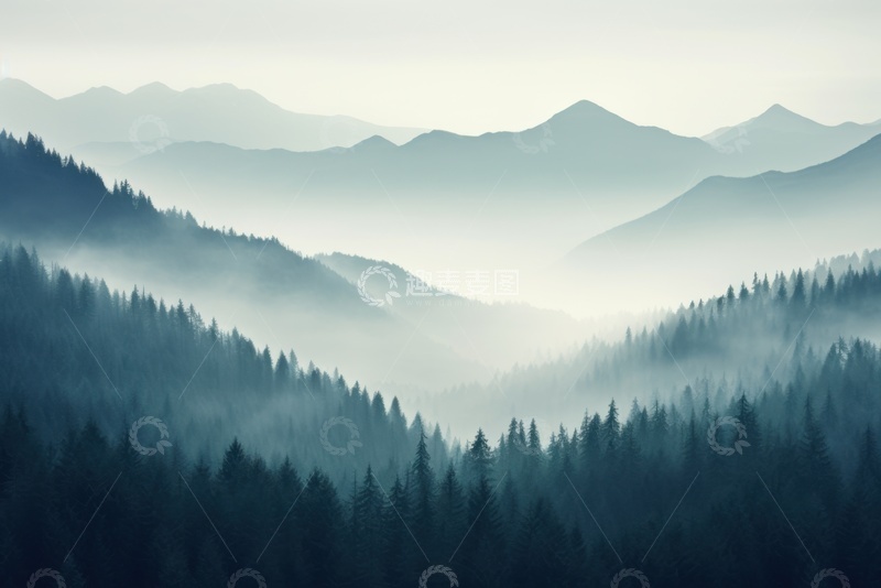 高清大图下载【趣麦麦图】松树林远山薄雾风景