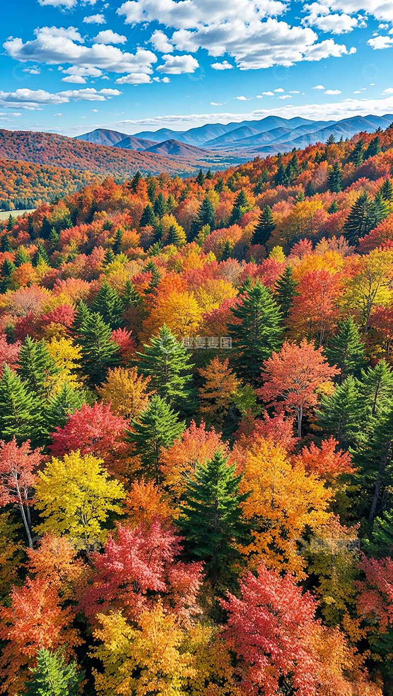 高清大图下载【趣麦麦图】远眺秋天山林