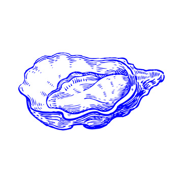 海鲜食材贝类生蚝线稿插画版画1
