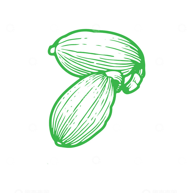 源文件下载【趣麦麦图】香料食材调料品草果线稿插画版画