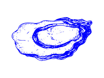 海鲜食材牡蛎贝类生蚝线稿插画