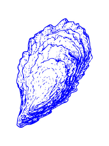海鲜食材牡蛎生蚝线稿插画