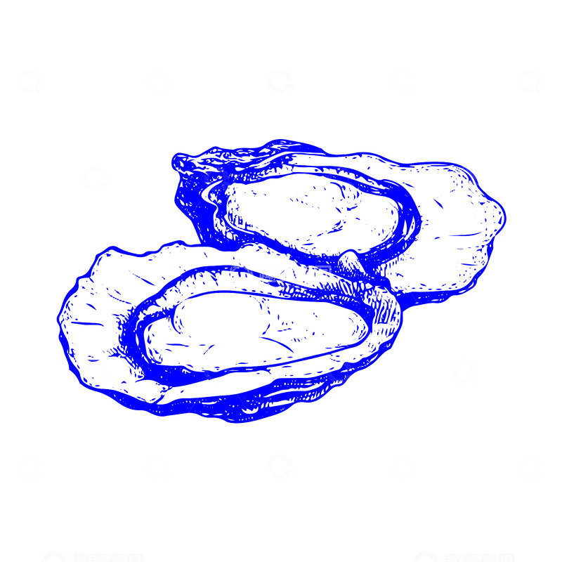 源文件下载【趣麦麦图】-海鲜食材生蚝牡蛎线稿插画