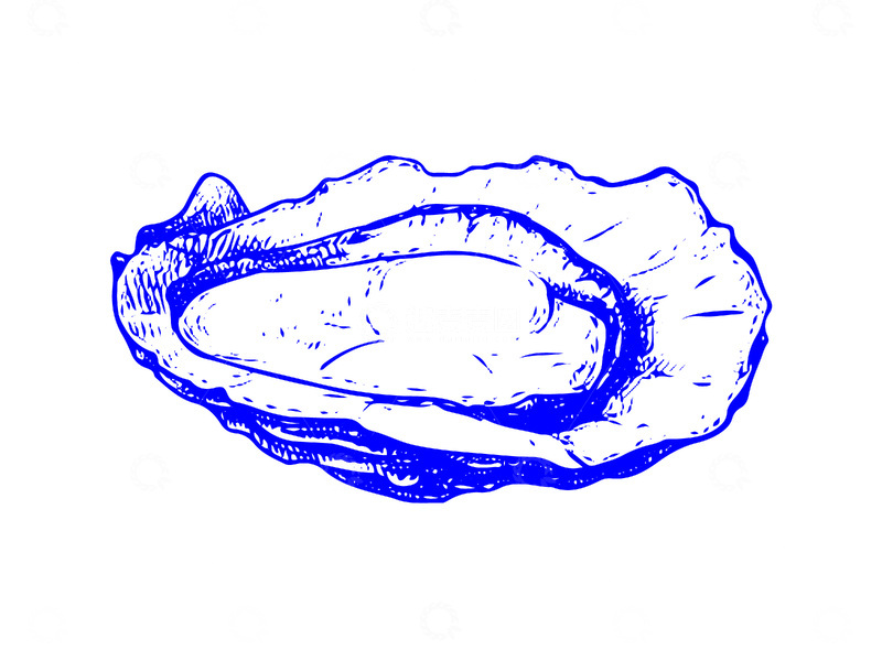 源文件下载【趣麦麦图】-海鲜食材牡蛎生蚝贝类线稿插画