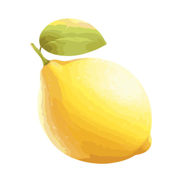 彩绘临摹水果柠檬果实绿叶