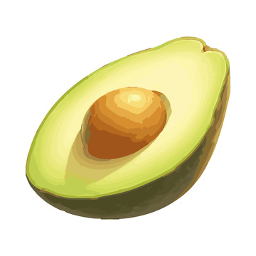彩绘临摹水果牛油果果肉果实果核