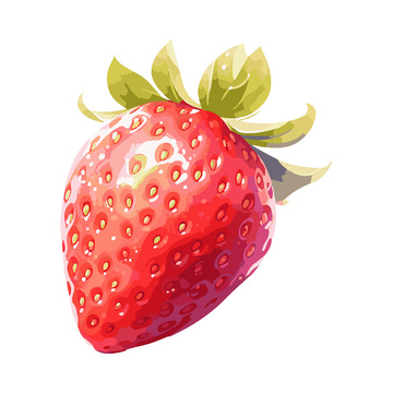 彩绘临摹水果草莓果实果蒂