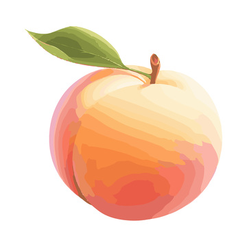 彩绘临摹水果水蜜桃桃子果实绿叶