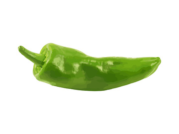 彩绘临摹蔬菜青辣椒菜椒青椒果蔬