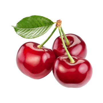 彩绘临摹水果樱桃车厘子果实绿叶