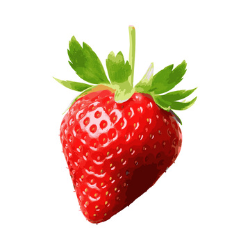 彩绘临摹水果红莓草莓果实果蒂