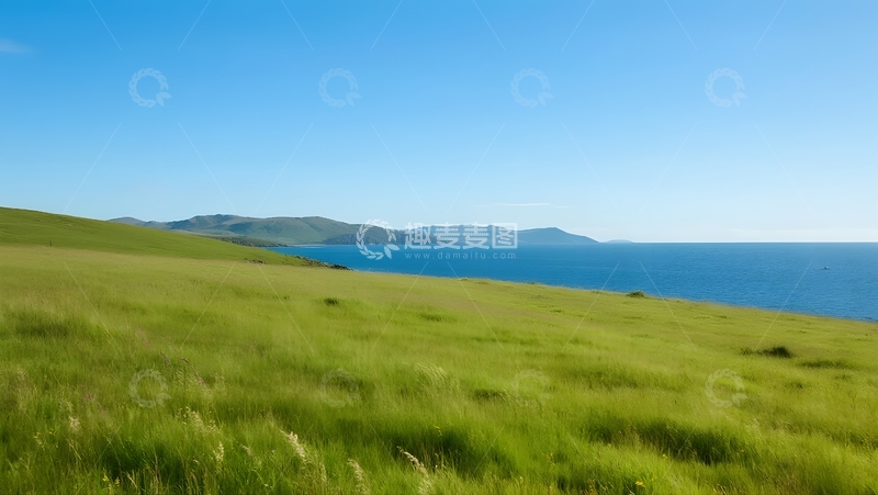 高清大图下载【趣麦麦图】山海相连，绿意海景交融