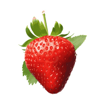 彩绘临摹水果草莓红莓果实果蒂