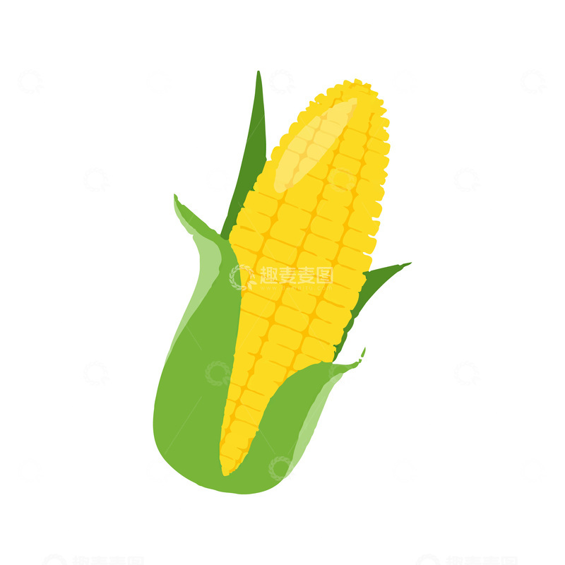 源文件下载【趣麦麦图】-彩绘临摹谷物食材玉米玉蜀黍苞米