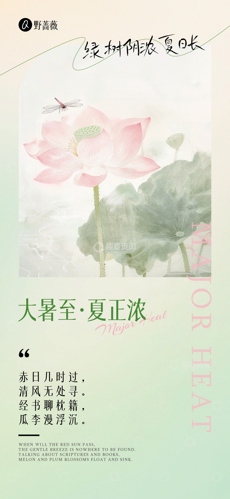 大暑至夏日浓