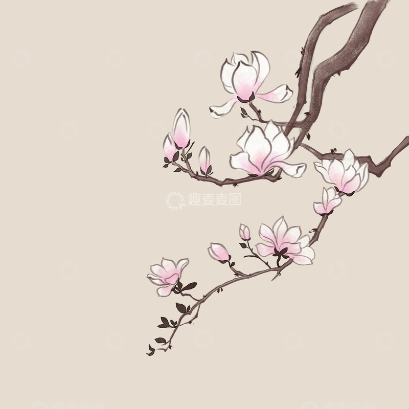 古风工笔线水墨玉兰花