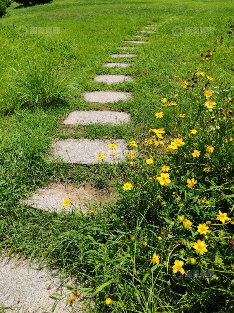 高清大图下载【趣麦麦图】田园小路黄花青草绿色摄影自然唯美