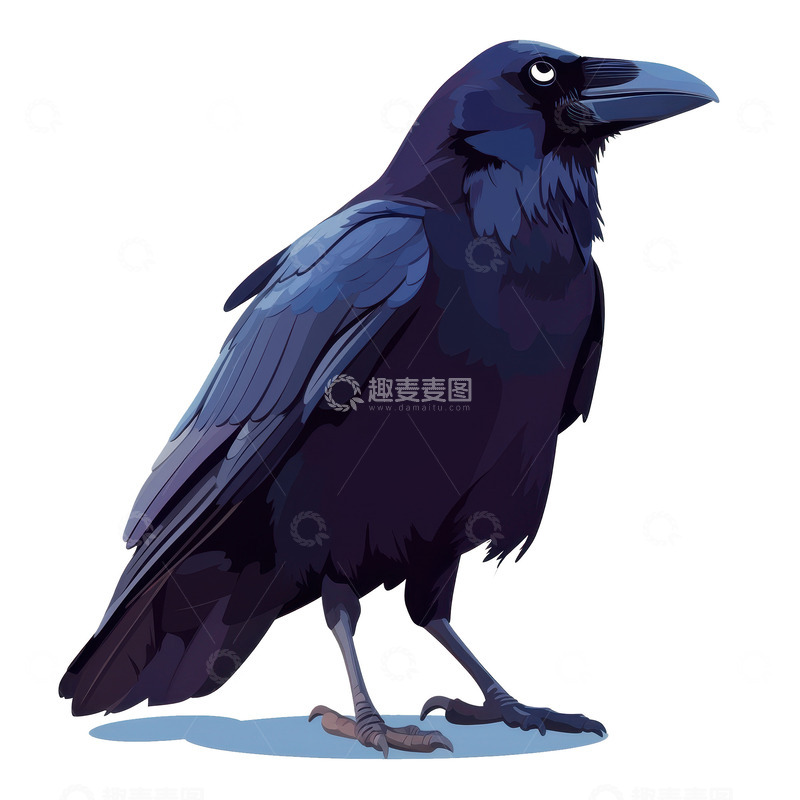 高清大图下载【趣麦麦图】一只黑色的乌鸦
