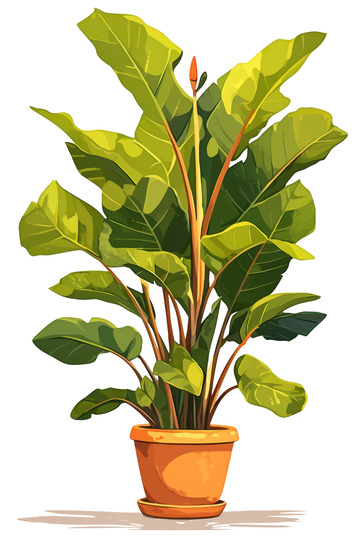 手绘简约一盆绿植1