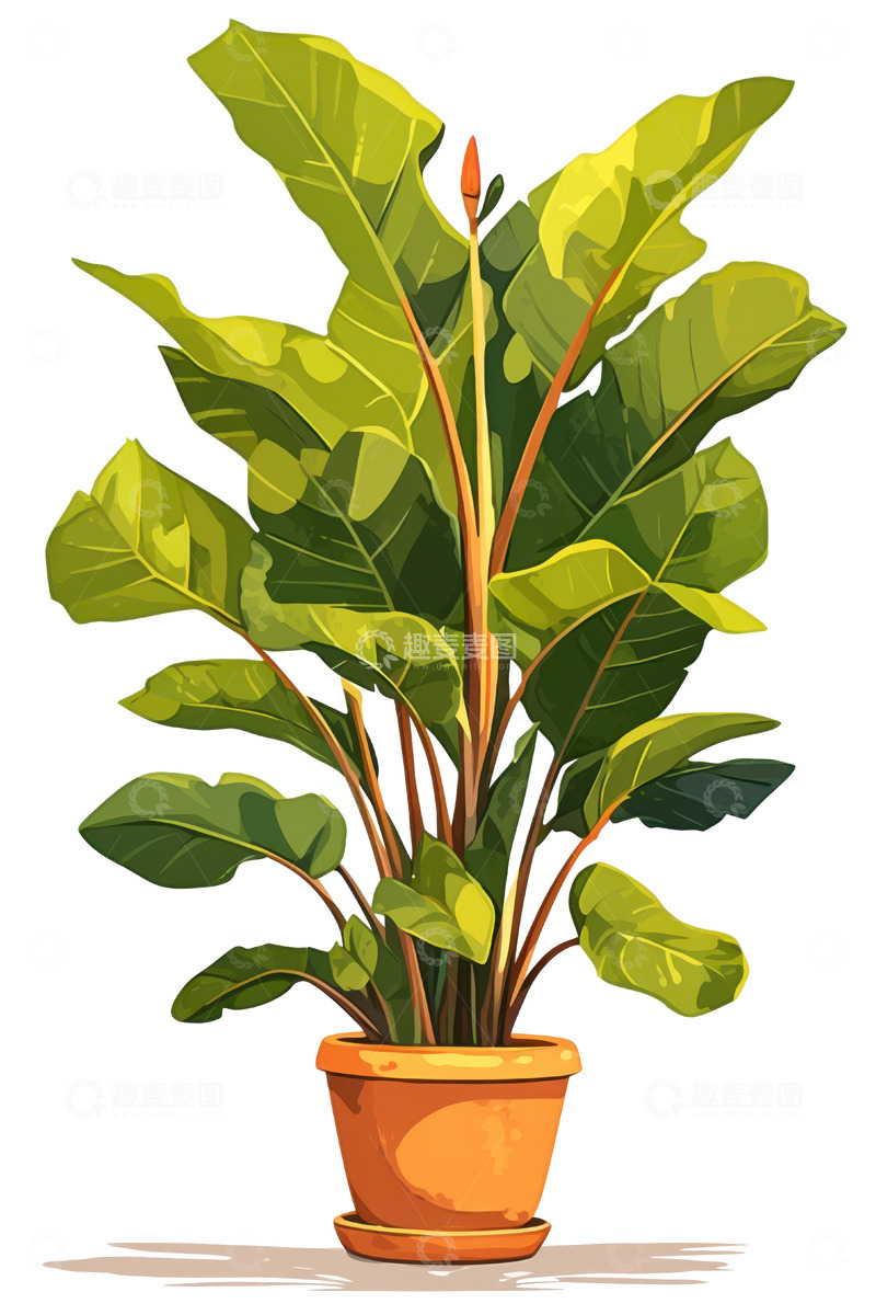 高清大图下载【趣麦麦图】手绘简约一盆绿植1