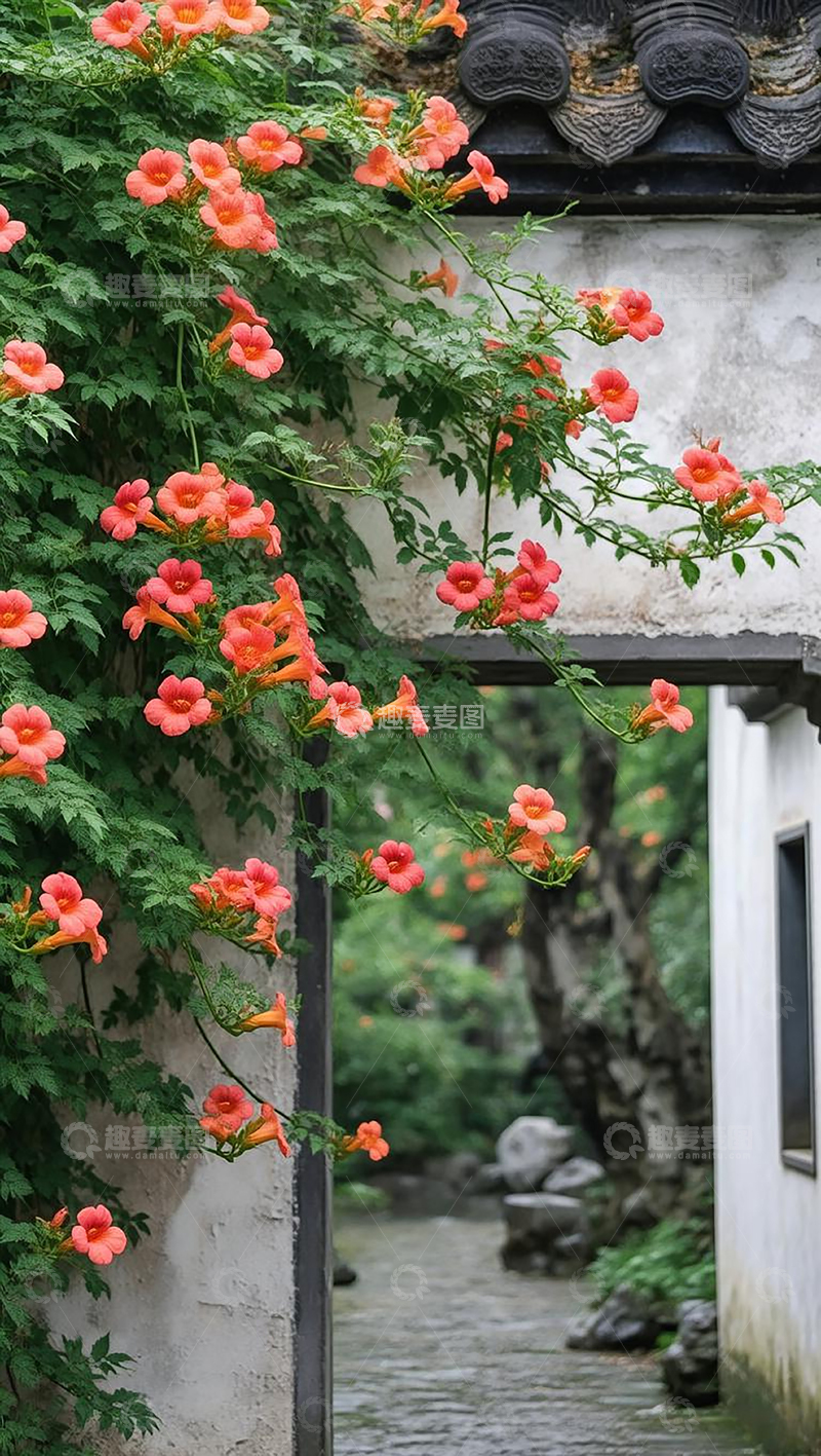 高清大图下载【趣麦麦图】园林一角的凌霄花