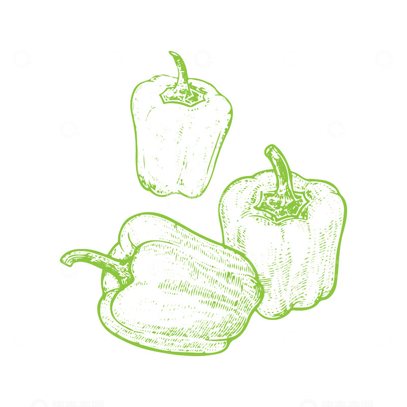 源文件下载【趣麦麦图】-蔬菜食材菜椒青椒线稿插画钢笔画
