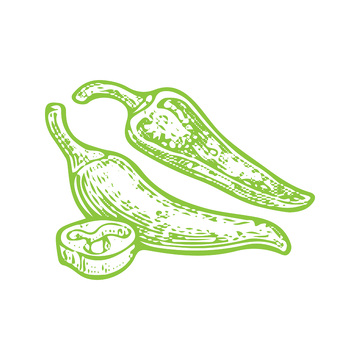 蔬菜食材辣椒青椒线稿插画钢笔画