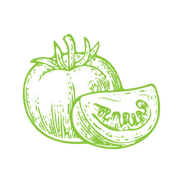 蔬菜食材番茄西红柿线稿插画钢笔画