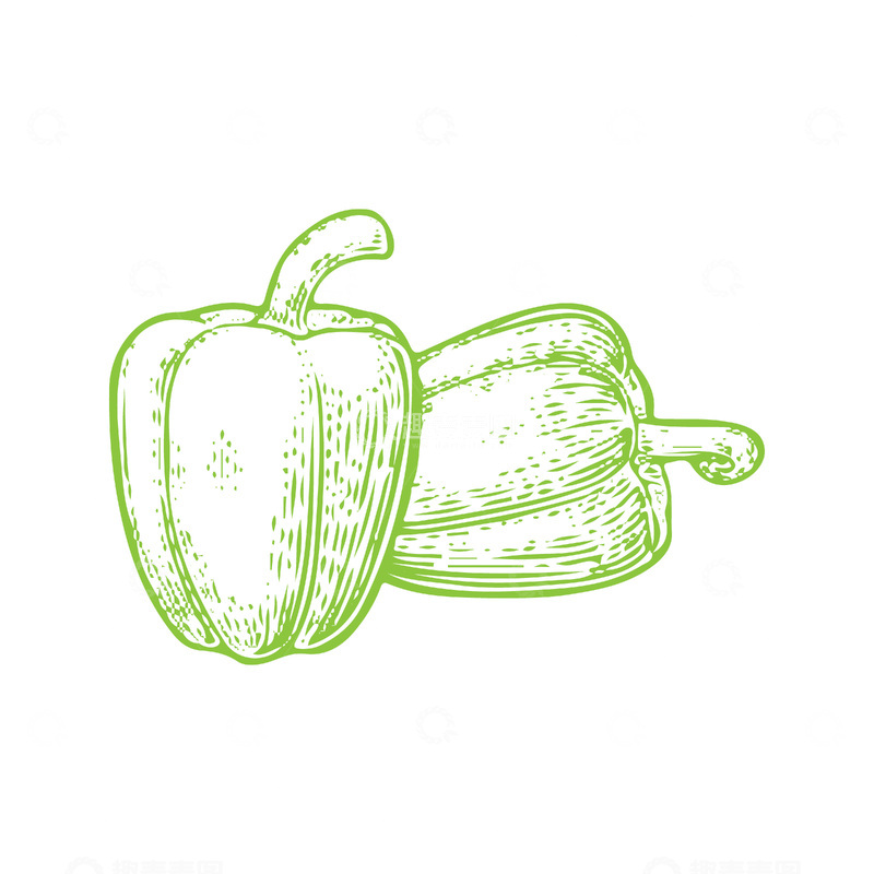 源文件下载【趣麦麦图】蔬菜食材青椒辣椒彩椒线稿插画